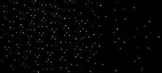 Review Image by Lee E. Lee E.