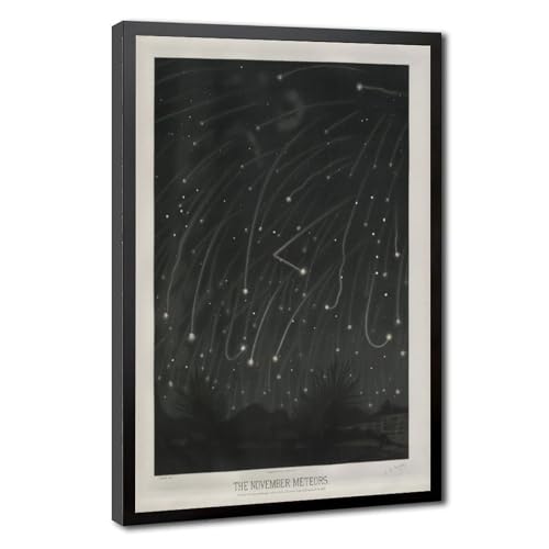 Trouvelot dessins astronomiques 1882 tableau toile météores novembre