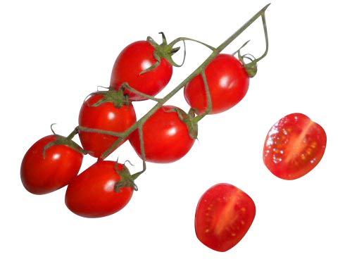 San Marzano Tomaten Pflanzen Kaufen Die 15 besten Produkte im