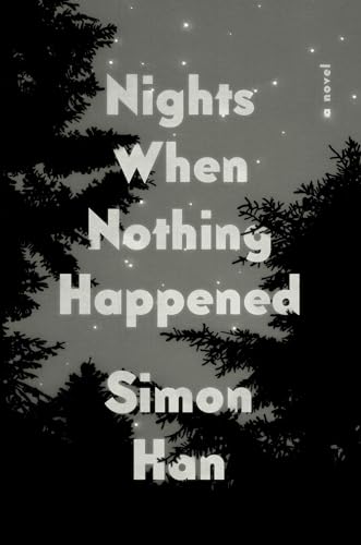 Nights When Nothing Happened view 2