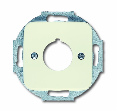 Preisvergleich Produktbild Busch-Jaeger BUSC Zentralscheibe 2533-212 Reflex-SI