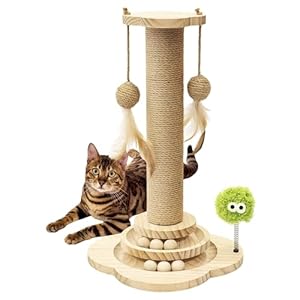 TINYBEAST Wooden Cat Scratching Post, 4 in 1 Cat Scratcher Toy with Cat Ball Tracks, 18″ Tall Sisal Scratch Post for Indoor Kittens Adult Cats, Interactive Feather Toy and 2 Sisal Hanging Balls