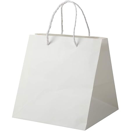Amazon 井上紙業 紙袋 マチ広 袋 底キューブ型 丸ひも 白 無地 10枚 てさげ袋 手提げ紙袋 ペーパーバッグ ケーキ ブライダル プレゼント 贈答用 Q 230 250x230x260 ギフトバッグ 袋 文房具 オフィス用品