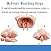 PLbsE Demonstration Female Childbirth Manikin Advanced Midwifery Training Model Standard Childbirth Simulator for Medical Teaching