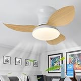 INSTALLATION FACILE : Sa conception innovante permet une installation en seulement 30 secondes, vous faisant gagner un temps précieux et vous évitant bien des tracas. Ce fan light est durable, sûr et facile à installer. Sa construction robuste le rend idéal pour un usage domestique, garantissant des performances stables dans divers environnements