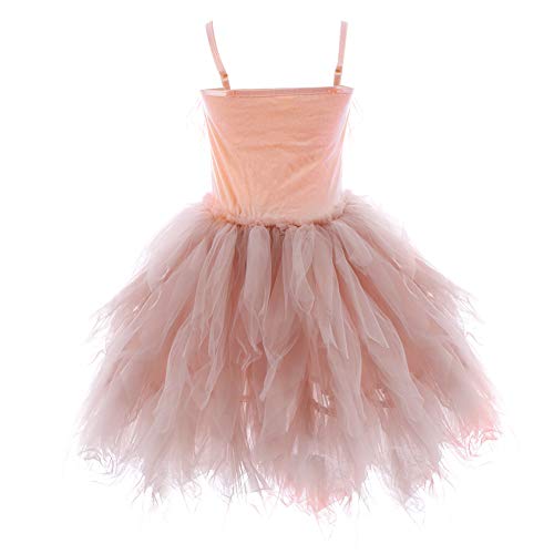 Kids Swan Princess Dance Costume Feather Fringes Ballerina Fancy Dress For Baby Girl Pageant Party Prom Birthday Short Ball Gown Dusty Pink 3-4 Years #TOP5