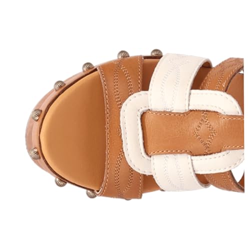 Dingo Womens Cosmo Studded Mid Heel 2-3" - Brown4