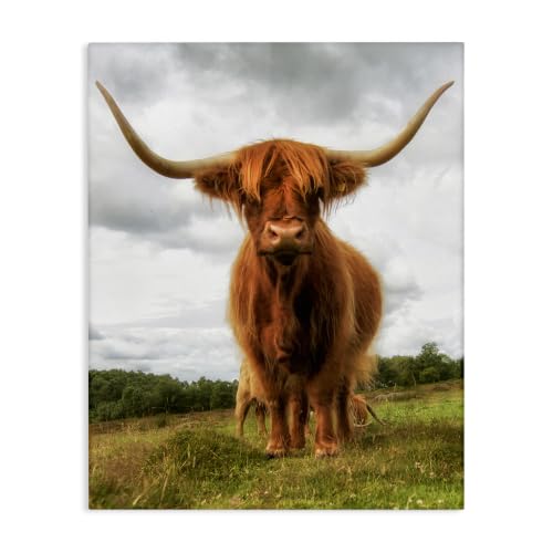 Highland Cattle Farmhouse Ranch, 24 x 30 Inch Canvas Wall Art