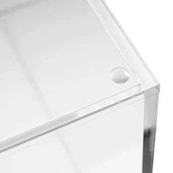 Amazon.com: RUSSELL+HAZEL Acrylic File Box, Acrylic File