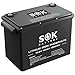 SOK Battery Lithium Iron Phosphate 12V 100Ah Battery,Marine Grade