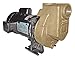 Centrifugal Pump, 3/4HP, 1 Ph, 115/208-230V