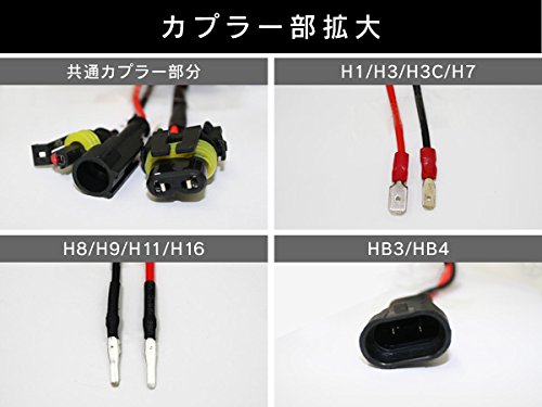Amazon | 信玄 交換用 HIDバルブ H3C 12000K 35W 55W 兼用 2本セット
