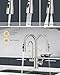 DAYONE Kitchen Faucet with Pull Down Spayer and Water Filter, 3 in 1 Sink Faucet with Drinking Water, 3-Way Kitchen Faucet with Purfied Water Faucet, Cold and Hot Mixer Filter Tap, Brushed Nickel
