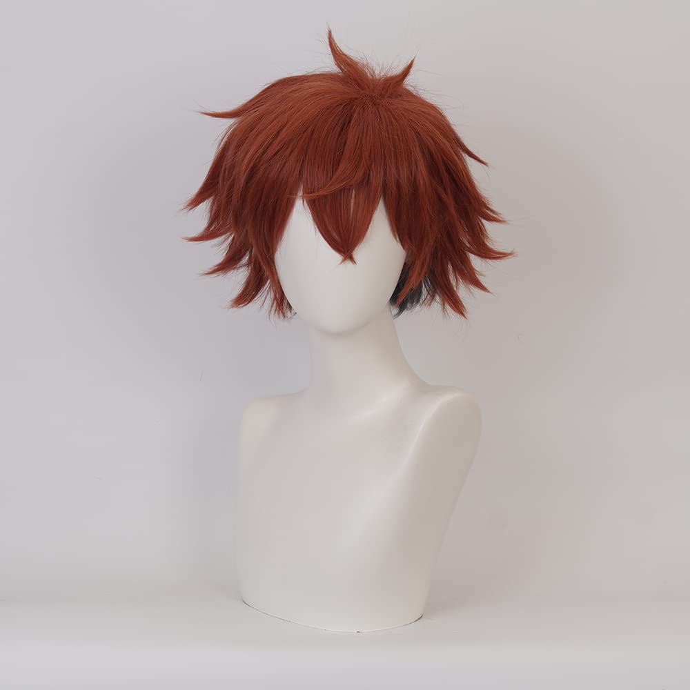 Red Brown Short Wig for Anime Costume with Heat Resistant Synthetic Universal Hairs for Men Halloween Family Cos Make Up Party - Image 2