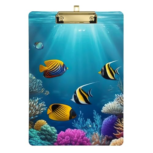 ANNbv{[h 12C` x 9C` JX^ w Nbv{[h t[Nbv{[h  q ItBX wZ ANZT[  Jt  邢Vo[