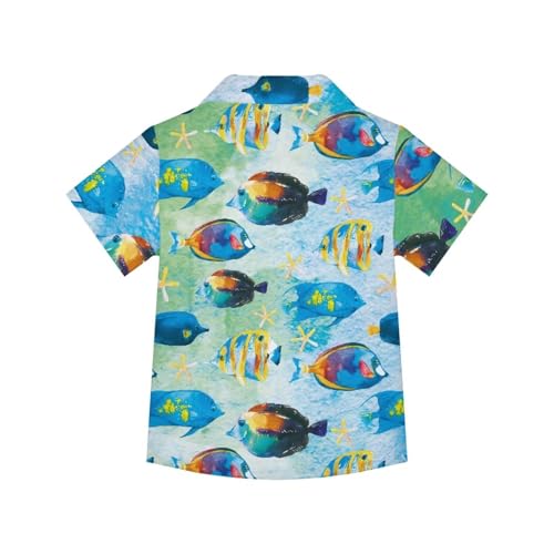 Kids Hawaiian Shirt Short Sleeve Casual Button Down Beach Aloha Shirt for Kids in 3t to 16 Years3