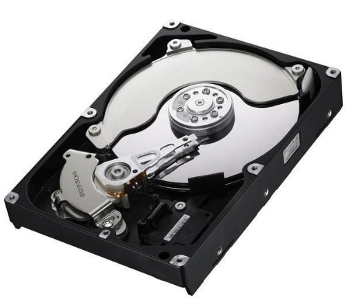 Samsung HD103SJ HDD 3.5 SATA Spinpoint F3 lecteur interne pour ordinateur