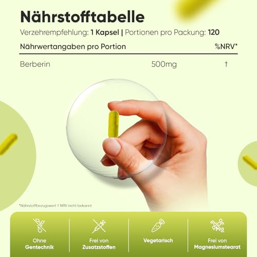 Berberin Kapseln - 4 Monate Vorrat - 120 vegane Berberin 500 mg Kapseln - Berberin 85% (Quelle: Berberis aristata) - 1 Kapsel pro Tag - Frei von Magnesiumstearat - Von WeightWorld
