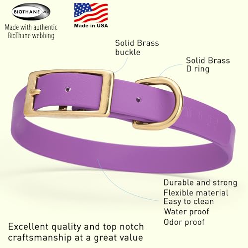Image of Viper Biothane Heavy Duty Waterproof Dog Collar Strong Coated Nylon Webbing w /Solid Brass Hardware Odor-Proof Easy to Clean High Performance Fits Small Medium or Large Dogs, Amethyst Purple