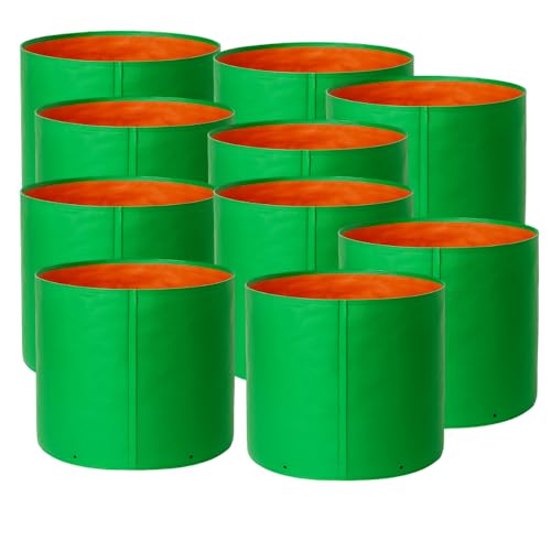 HDPE 220 GSM 24 X 24 Inch Plant Growing Bags for Indoor, Outdoor,...