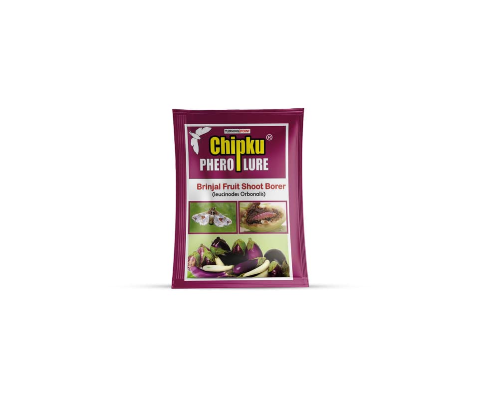 See full amazon price history chart for Chipku-Pheromone Lure for Brinjal Fruit Borer(Leucinodes Orbonalis) Pack of 50 Lure only Chipku-Pheromone Lure for Brinjal Fruit Borer(Leucinodes Orbonalis) Pack of 50 Lure only (B0BR3S36F4) Amazon Price History, Amazon Price Tracker