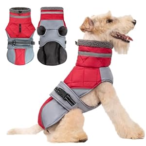 Warm Dog Coat Reflective Dog Jacket Dog Winter Coat with Adjustable Buckle Windproof Turtleneck Fleece Lining Dog Cold Weather Coats Dog Snowsuit for Small Medium Large Dogs(Red, M)