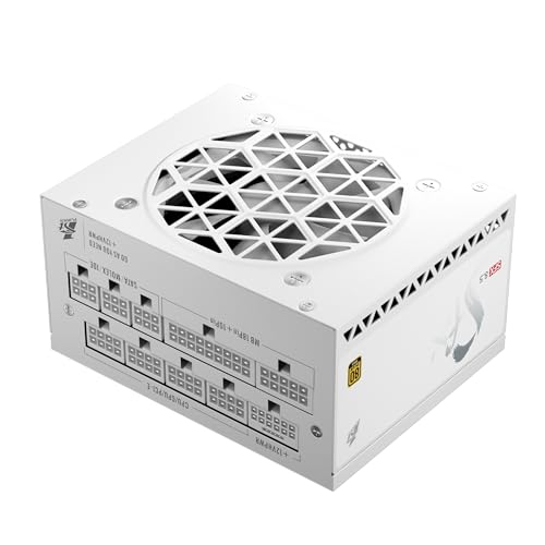 1ST PLAYER 850W SFX PSU Fully Modular Power Supply 80 PLUS Gold Certified ATX 3.1 / PCI-E 5.1 Low Noise FDB Fan 0RPM Japanese Electrolyte Capacitor (White)