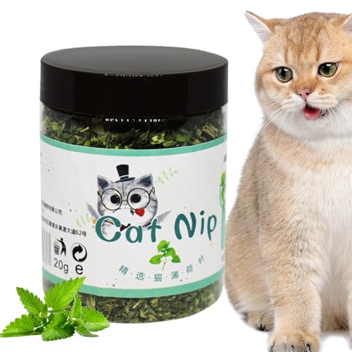 Hierba Gatera para Gatos,Premios para Gatos con Aroma de - Juguetes Interactivos Relajantes Atrayente Sabor Seguro Entretenimiento Feliz Necesidades Alimento Interior