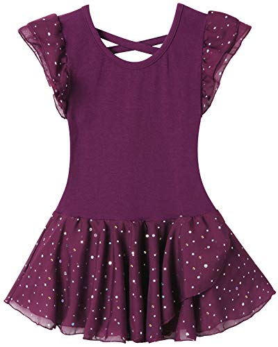 image for MOLLDAN Girls Dance Leotards for Ballet Dress Shiny Skirt Ruffle Sleev