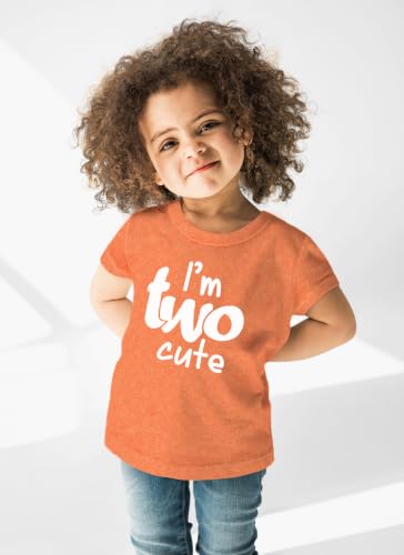Image of 2nd Birthday Outfits for Toddler Girls im Two Cute Shirt Girl 2 Years Old Second Birthday