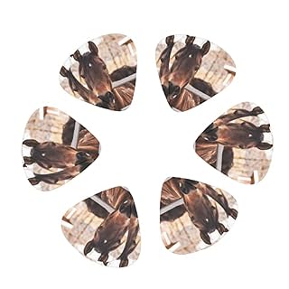 Ensemble de 12 médiators de guitare Brown Horses pour guitare acoustique, guitare électrique, contrebasse, ukulélé - Les Beatles, Paul McCartney, John Lennon, RIngo Starr, George Harrison Ensemble de 12 médiators de guitare Brown Horses pour guitare acoustique, guitare électrique, contrebasse, ukulélé – Image 2