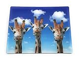 paarhufer reh  Onwomania Giraffen Langhals Paarhufer 9x7cm 3D Magnet Karte Kühlschrankmagnet Magnetbild Heftmagnet Mehrfarbig