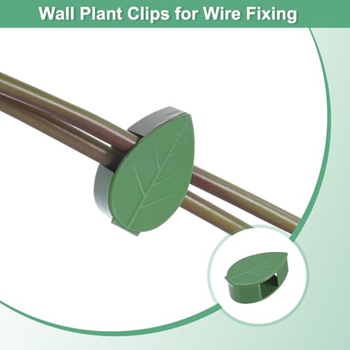 M METERXITY Pacote com 72 clipes de parede para plantas, clipes de parede de escalada para plantas,