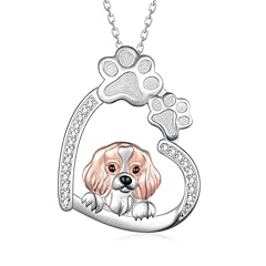 A08-Cavalier King Charles Spaniel