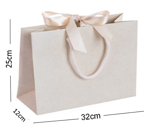 Boutique Shop Ribbon Tie Medium Gift Bags Rope Handle Events Bag - Select Colour (5 Bags, Ivory Vanilla)