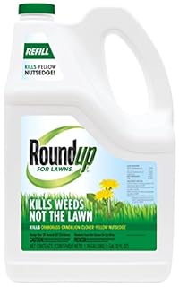 Roundup for Lawns1 Refill (Northern), 1.25 gal. - Lawn Safe Weed Killer for Northern Lawns - Kills Crabgrass, Dandelion, Clover and Yellow Nutsedge - Kills Weeds, Not The Lawn