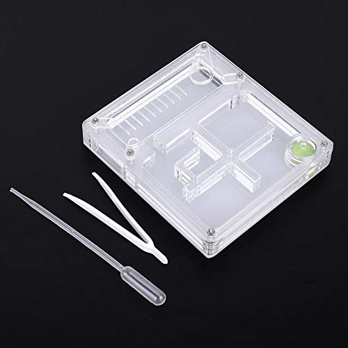 Image of Acrylic Transparent Breeding House Nest Formicarium Display Box Ornamental