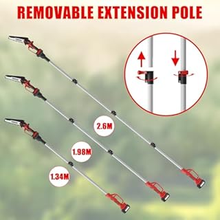 Potatore a palo TEENO, motosega elettrica, motosega elettriche 2 in 1, asta telescopica, 6 pollici, batteria 2 * 4000 mAH