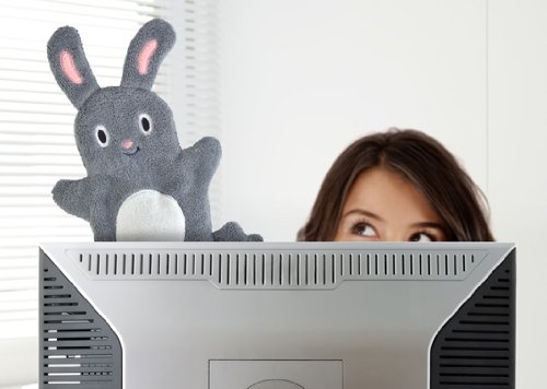 Fred STOF BUNNY Microfiber Duster Mitt - Image 5