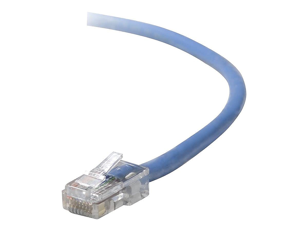 Amazon.co.jp: Belkin - Patch cable - RJ-45 (M) to RJ-45 (M) - 10