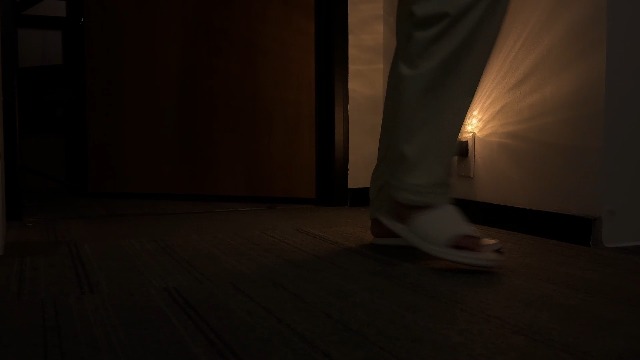 Image of L LOHAS LED Night Light, Night Lights Plug into Wall, 10-Color RGB Change Nightlights,10 /50 /100LM Adjustable Automatic Nightlights Plug in with Dusk to Dawn Sensor for Room Bathroom Hallway