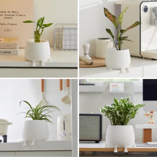 Image of TOPOLA 5.2 Inch Hydroponic Happy Face Planter with 3 Interchangeable Grow Baskets, Water Culture Pot for Pothos, Lucky Bamboo & Plant Propagation, Decorative Desktop Planter for Home & Office, White
