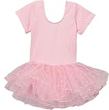 Wenchoice Girl's Pink Heart Short-Sleeve Ballet Dress M(3T-4T)