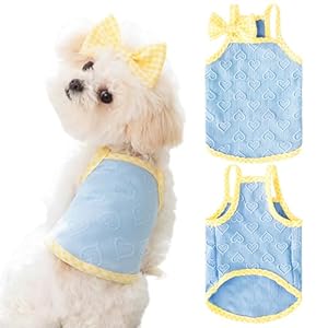Fnaobai VêTements d&rsquo;été pour Chiens Gilet de Coeur pour Chiot Débardeur sans Manche Respirant pour Petit Chien Moyen Chat