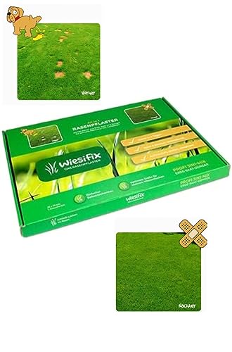 WiesiFix | 3in1 Power Rasenpflaster für Urinflecken in der Wiese | schnellkeimend | Rasennachsaat | Fleckenentferner | Selbstnachanbauset | Hund | tierfreundlich | Gartenpflege |