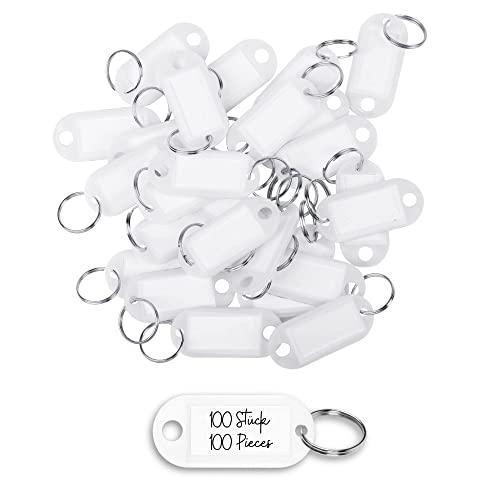 WINTEX Porte Clé Etiquette - 100 pièces - Porte Cle avec Etiquettes en Plastique Résistant - Porte Clef Colorés pour Organisation Voyages Animaux...