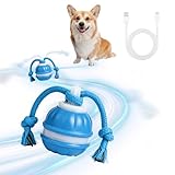 Swiftctrl Balle Interactive pour Chien et Jouet Interactif Électrique Indestructible, Balle pour Chien avec 3 Modes de Jeu, Télécommande, Sons d'Oiseaux et Queue, pour Petits Chiens, Chiots et Chats