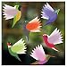 Stickers Fenêtre Colibri Anti-Collision | Déco Électrostatique 4 Pièces