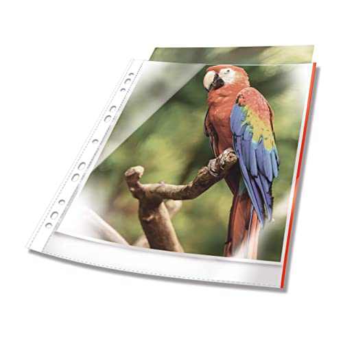 DURABLE Lot de 10 pochettes à prospectus A4 ouvertes sur le dessus Transparent Rouge