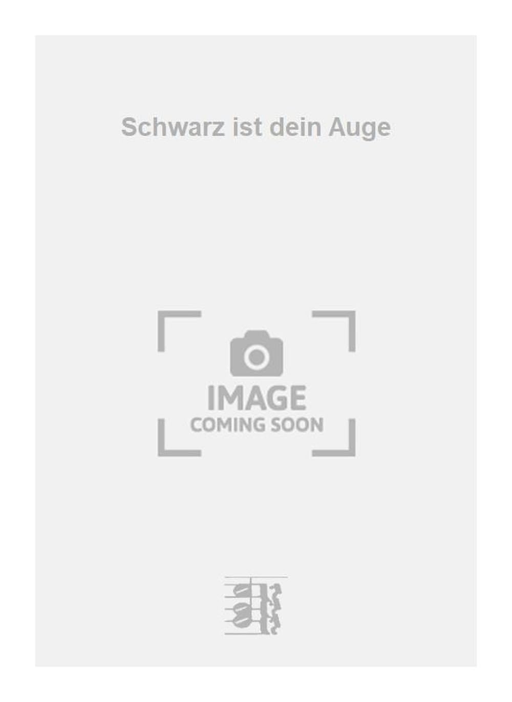Schwarz ist dein Auge. Vocal And Piano.